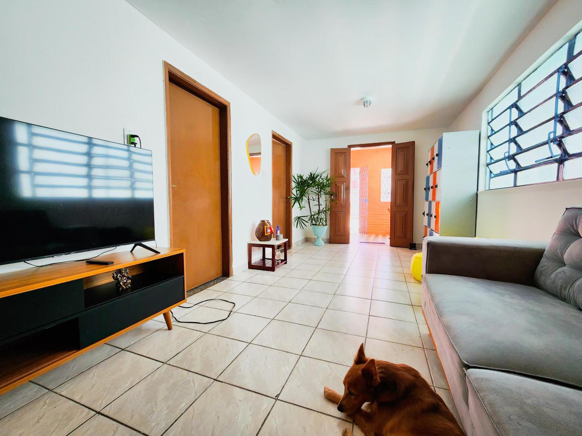 Trem Bao De Albergue Recife